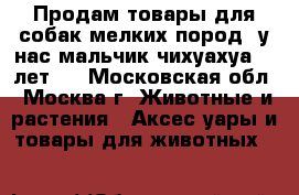 Продам товары для собак мелких пород (у нас мальчик чихуахуа, 5 лет)  - Московская обл., Москва г. Животные и растения » Аксесcуары и товары для животных   
